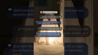 Hablando con mi Agente REMAX ¡Nuestro Primer Halloween en Casa 🎃🏡 [upl. by Bram]