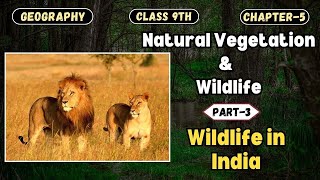 Natural Vegetation amp Wildlife  Wildlife in India Part3  CBSE Class 9th  Geography  Chapter5 [upl. by Jillie]