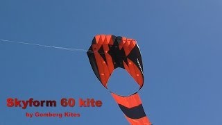 Skyform 60 parafoil kite [upl. by Ingar]