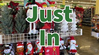 Dollar Tree 2024 NEW Finds This Week😮😮😮 [upl. by Kerad]