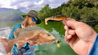 NEW FAVOURITE TOPWATER LURE Jacks amp Barra how to guide [upl. by Leugar]