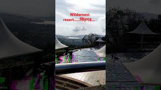 Wildernest resort सिंहगड [upl. by Tchao]