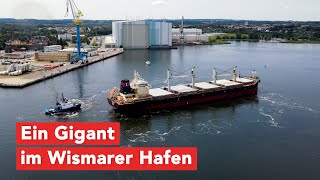 Tomini Kaimai gigantischer Massengutfrachter in Wismar [upl. by Chee]