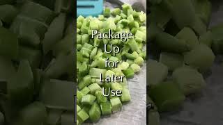 Preserving Vegetables How to Freeze Celery Without Blanching shorts [upl. by Idarb]