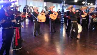 Mariachis EN Dallas TEXAS 245525323 Mariachi Mexico USAGARLAND FORT WORTH GRANDPRAIRIE WEDDINGS [upl. by Prent203]