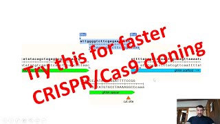 Easy CRISPRCas9 plasmid cloning [upl. by Cowen700]