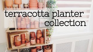 My Terracotta Plant Pots Collection [upl. by Ahtilat957]