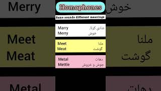 homophones  vocabulary [upl. by Dlorej]