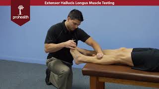 Extensor Hallucis Longus Muscle Test Palp Dr VIzniak Muscle Manual [upl. by Alida]