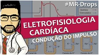 Condução do impulso elétrico coração  Vídeoaula resumo de Eletrofisiologia MRDrops [upl. by Onig]