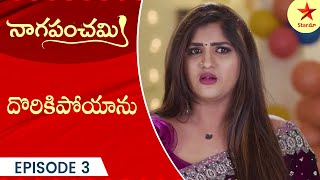 Naga Panchami  Episode 3 Highlight 3  Telugu Serial  StarMaa Serials  Star Maa [upl. by Haropizt]