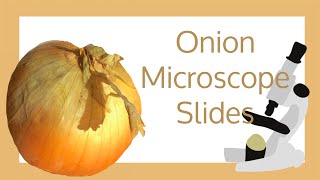 Onion Cell Microscope Slide Experiment [upl. by Max]