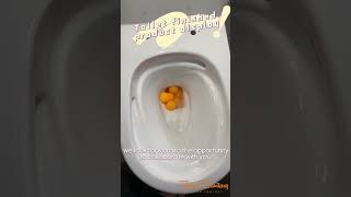 Toilet Flush Testing with 10 Ping Pong Balls 🏓toilet flushing shortsvideo [upl. by Marna]