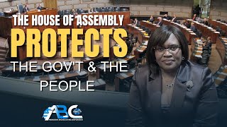 The Legislative Protects The Govt amp The People  Dr Lobati [upl. by Kentigera206]