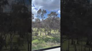 Southern Cross to Traralgon VLine VLocity Train Journey Oct 2024 windowview melbourne australia [upl. by Ellebana699]