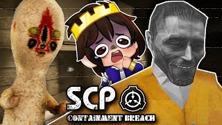 DONT YOU BLINK  COOP SCP CONTAINMENT BREACH [upl. by Liva]