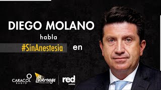 Diego Molano en La Luciérnaga de Caracol Radio y Red Noticias SinAnestesia [upl. by Nnaed]