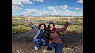 Hacia el Parque Nacional Volcán Isluga sin tour Norte de Chile Tips y presupuesto [upl. by Josefa]