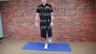 Single Leg Stance Balance Exercise [upl. by Fortunna979]