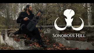 Sonorous Hill  Harlequin without a Circus with tagelharpa and kravik lyre [upl. by Ragen]