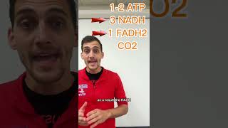 AP Biology topic 36 Cellular Respiration in one minute apbiology apbio biology [upl. by Furnary]