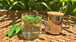 Caffeinefree herbal tea  How to make tea from fresh leaves  Pandan Tea recipe [upl. by Kobi]