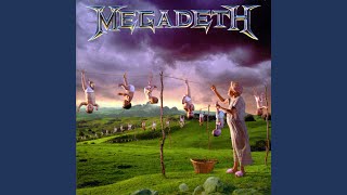 Youthanasia Remastered 2004 [upl. by Dachia]