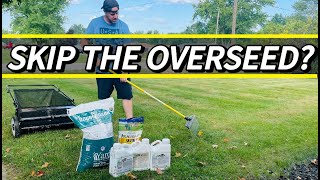 Fall Lawn Renovation Steps  Why I chose to skip overseeding [upl. by Sissel123]