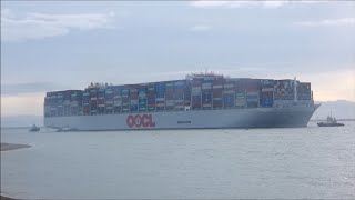 OOCL Gdynia swings to starboard with 3 Svitzer tugs for Felixstowe Berth 9 18th March 2024 [upl. by Sheya]