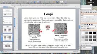 Forensics Fingerprinting Notes [upl. by Werdn]