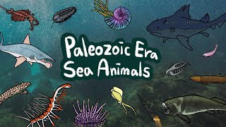 Paleozoic Sea Animals  What kind of sea animals lived in Paleozoic Era  Kids Draw [upl. by Gonnella]