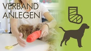 Verband richtig anlegen Pfotenverband wechseln  So gehts richtig [upl. by Fotina]