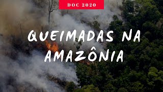 Queimadas na Amazônia  Documentário HD 2020 [upl. by Bettye]