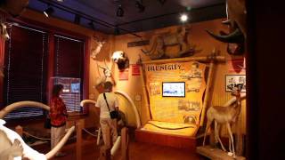 The Buckhorn Saloon amp Museum and Texas Ranger Museum Video [upl. by Maryellen343]