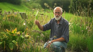 Åpningen av et av verdens største løksamlinger  Allium seminar på Ringve Botaniske hage Trondheim [upl. by Price]