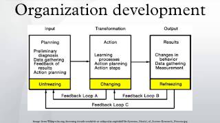 Organization development [upl. by Ynnaf]