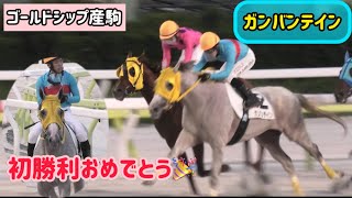 【ゴールドシップ産駒】6歳牝馬ガンバンテイン、45戦目で遂に待望の初勝利‼️✨ [upl. by Maggee]