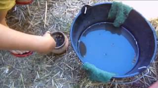 Cuisson dans de micro fours Raku  Stage poterie [upl. by Naras544]