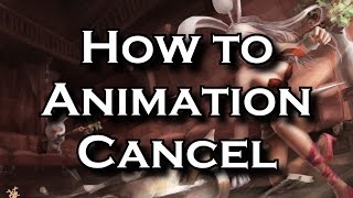 How to Animation Cancel Tricks for Cancelling Animations With Flash and Autoing  League of Legends [upl. by Drus]