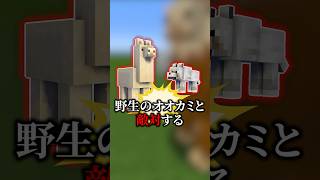 【マイクラ】あまり知られてないquotラマの生態quot【豆知識】 shorts マイクラ 豆知識 [upl. by Aridaj477]