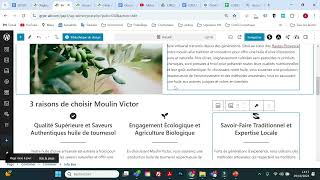 TUTO  Bloc Spectra info box boite dinfo Spectra  Wordpress BTS NDRC épreuve pratique E5 [upl. by Lotsyrc]