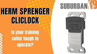 Dog Trainer Reviews Herm Sprenger ClicLock Buckle [upl. by Sandro]