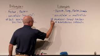 Microbiology Ch 4 Prokaryotes vs Eukaryotes [upl. by Ikciv]