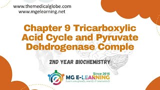 Chapter 9 Tricarboxylic Acid Cycle and Pyruvate Dehydrogenase Complex Carbohydrates and Metabolism [upl. by Matejka]