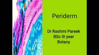 Periderm is formed by a Phellem b Phelloderm c Phellogen d All of these [upl. by Blunt851]