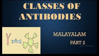 CLASSES OF ANTIBODIES IN MALAYALAM [upl. by Ellis]