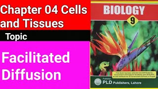 Facilitated Diffusion Class 9  Chapter 04 Cells and Tissues  Class 9 biology [upl. by Rednasela]