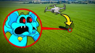 My Drone Atrapó a Bubba Bubbaphant y Catnap Poppy Playtime 3 [upl. by Prud]