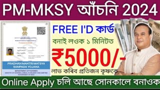 PM MKSY Online Apply 2024  How to apply Pradhan Mantri Matsya Kisan Samridhi SahYojana  Rs5000 [upl. by Aehsila]