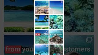 Instagram Feed on Your WordPress Website 3 Examples You Can Copy Shorts [upl. by Arrej]